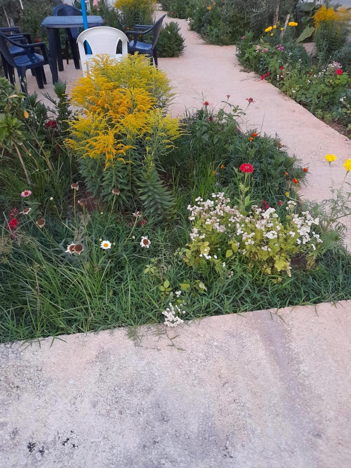 ホテル Rey Garden 2 Vlorë エクステリア 写真
